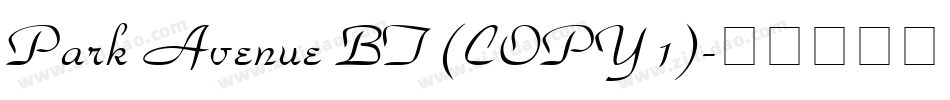 Park Avenue BT (COPY 1)字体转换